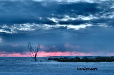 'ribbon of pastel ... '