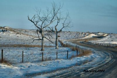 'sun finally glancing the hills ... '