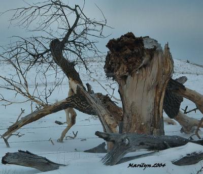 'tree sculpture ... '