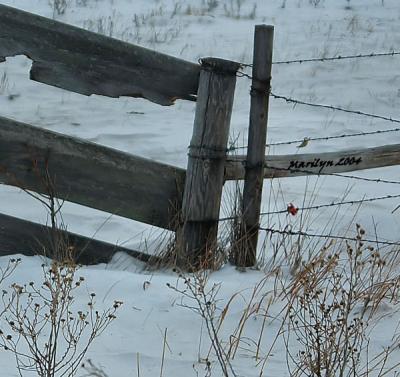 'way to the field ... '