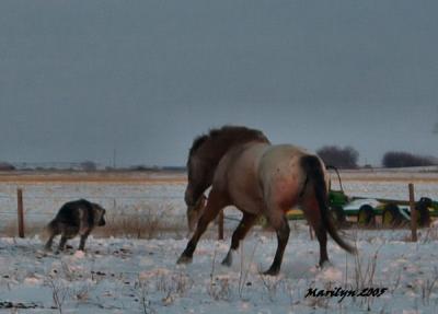 'playin' in the snow ... '