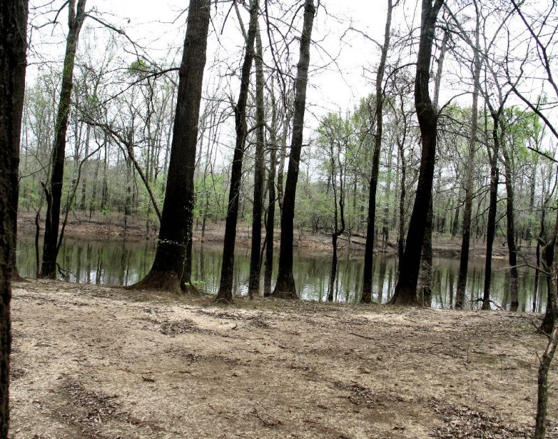 On The Creek Bank