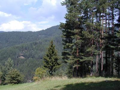 P8272746.JPG