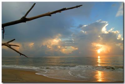 Nags head, NC