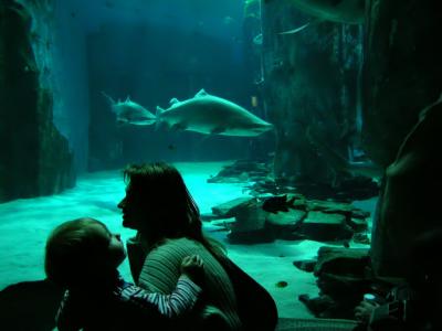 London Aquarium