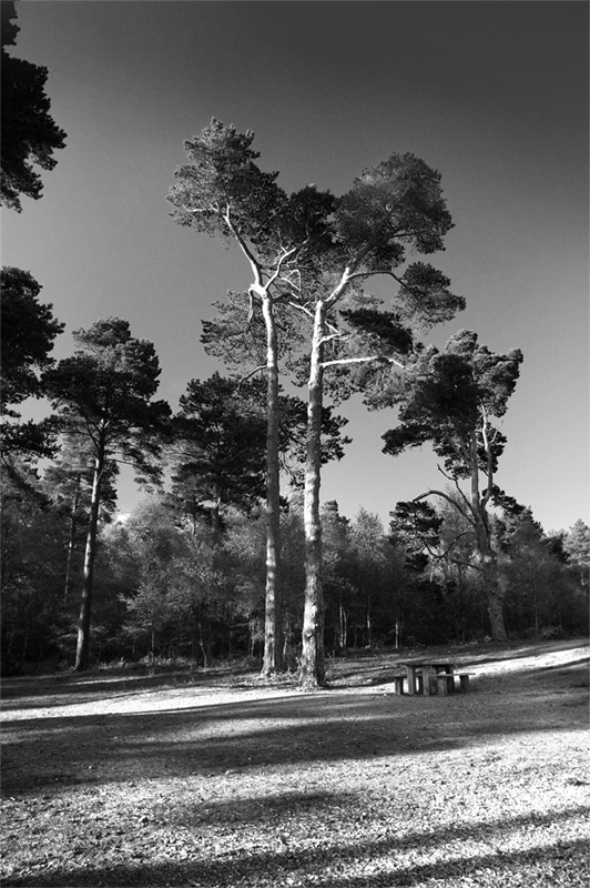 Leith Hill