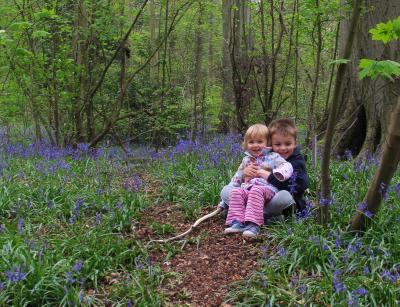 sitting in the bluebells