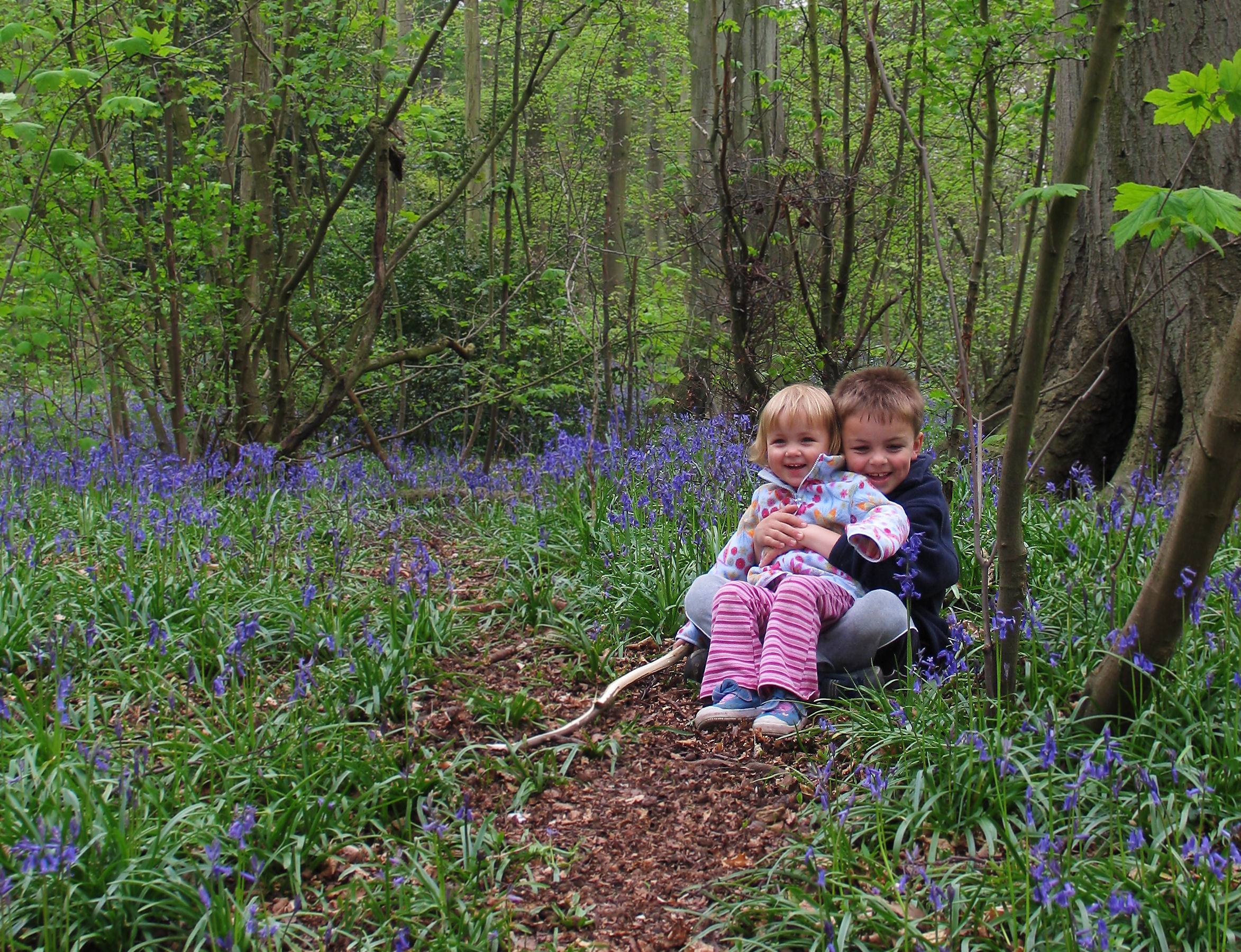 sitting in the bluebells