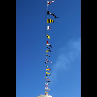 The International Cruise