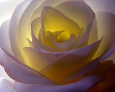 Inner Glow Yellow