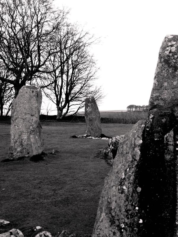 PICT0010a.jpg