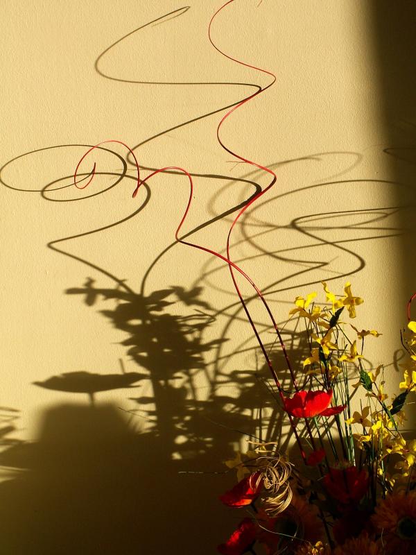 PICT0002z.jpg