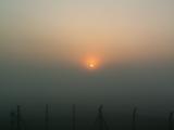 PICT0009.JPG