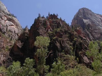 Zion.P7081248.JPG