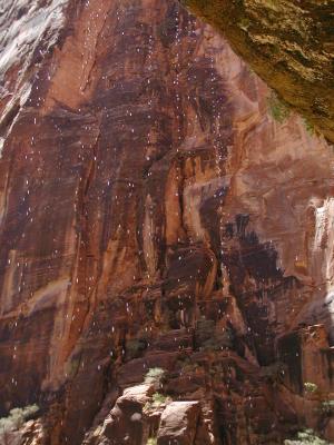 Zion.P7081270.JPG