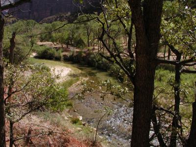 Zion.P7091285.JPG