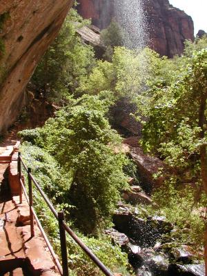 Zion.P7091293.JPG