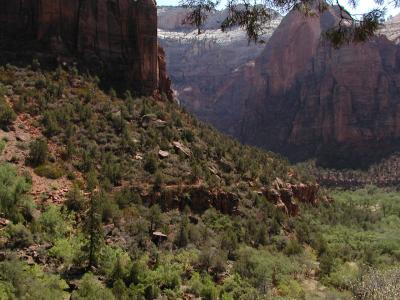 Zion.P7091298.JPG