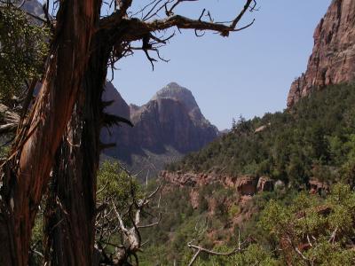 Zion.P7091308.JPG