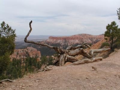 Bryce.P7101320.JPG