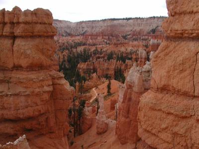 Bryce.P7101331.JPG