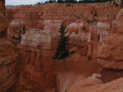 Bryce.P7101332.JPG