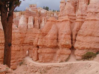 Bryce.P7101333.JPG