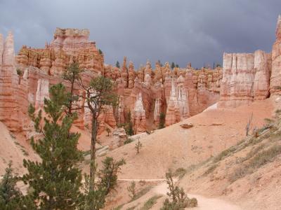 Bryce.P7101335.JPG