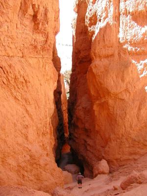 Bryce.P7111357.JPG