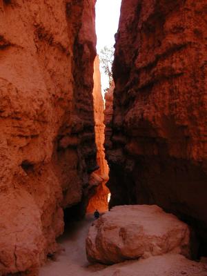 Bryce.P7111359.JPG