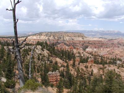 Bryce.P7111376.JPG