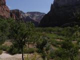 Zion.P7091287.JPG