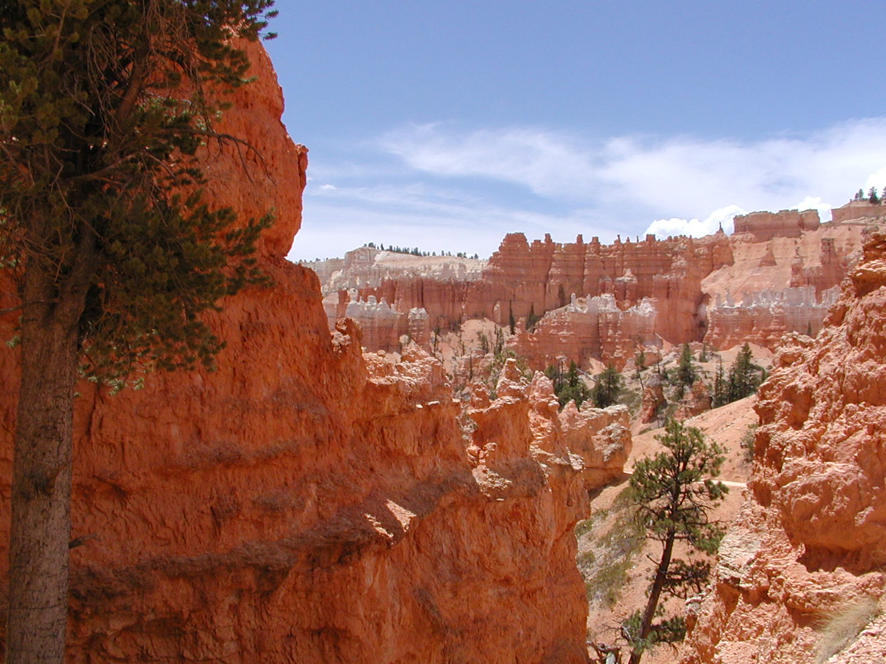 Bryce.P7111372.JPG