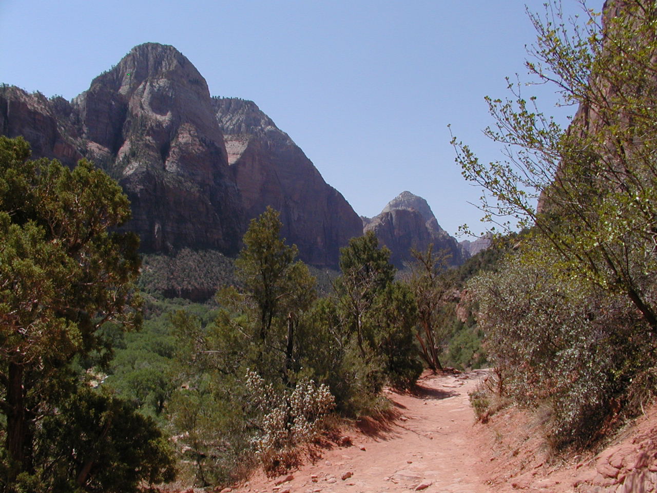 Zion.P7091305.JPG