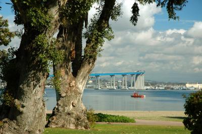 u13/novok001/medium/38548794.Coronadobridge2.jpg