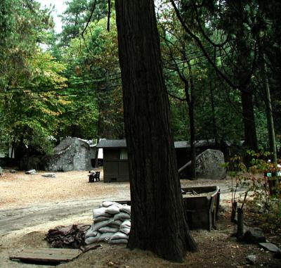 PA100174.jpg