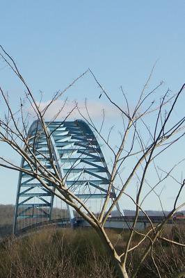 BlueBridge02_PICT1709.JPG