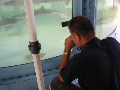 Fish Tank