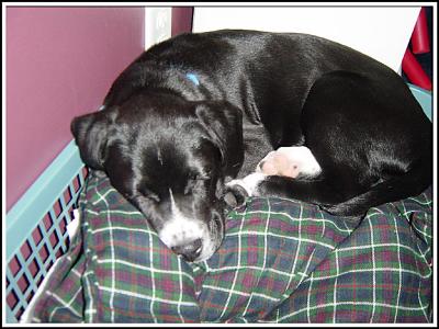 luckyDSC00270.jpg