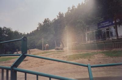 u13/oriz/medium/6996239.polska200153.jpg