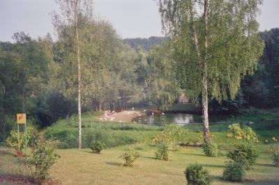 u13/oriz/medium/6996245.polska200159.jpg