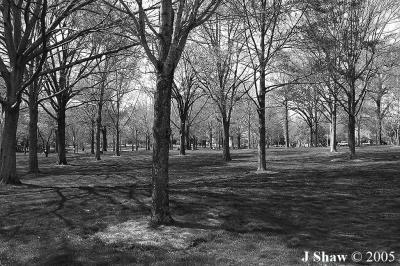 w_E6A5598_BW.jpg