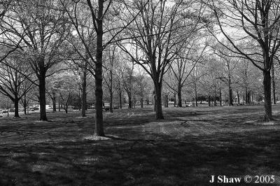 w_E6A5600_BW.jpg