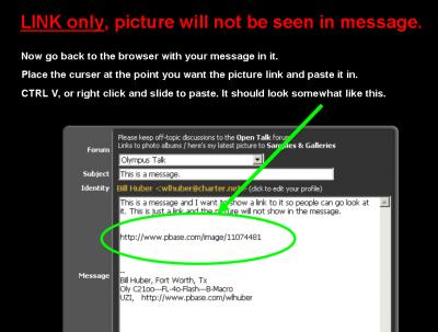 LINK only, picture will not be seen in message.

Now go back to the browser with your message in it. Place the curser at the point you want the picture link and paste it in. CTRL V, or right click and slide to paste. It should look somewhat like this.