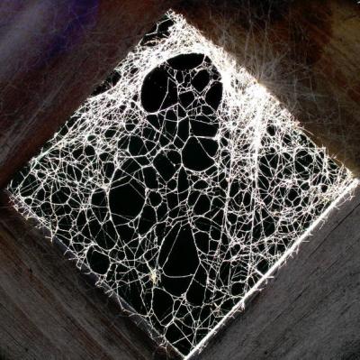 6tht PlaceHome is where the web isby Umberlee