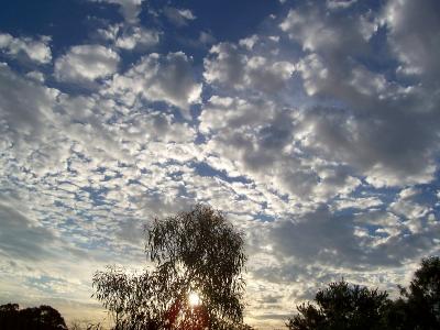 Evening sky 2243x.JPG