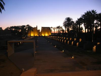 Luxor temple at nigth