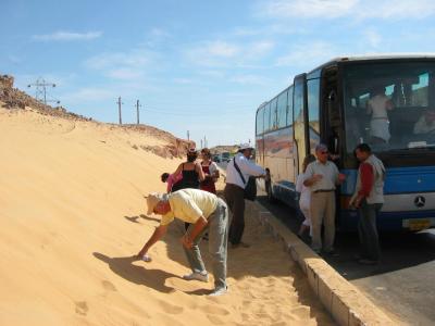 IMG_8045_3_1.JPG