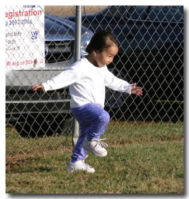 u13/papdogs/medium/21795678.IMG_0169.jpg