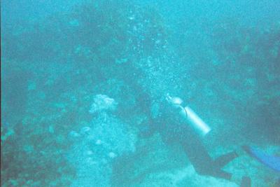 014_11A.JPG